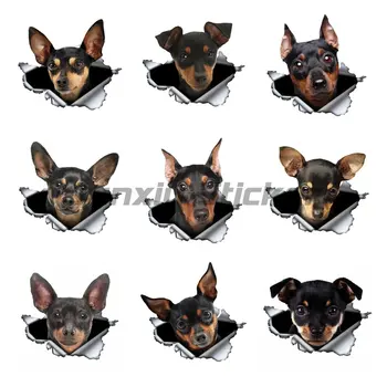 Pinscher Minyatür Araba Sticker 3D Metal Yırtık Orijinal Tasarım Vinil Arka Cam Gövde Özel Çıkartması Pet Köpek Grafik