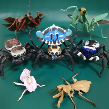 Orijinal Gashapon Oyuncaklar Simülasyon Böcek Biyografik Kitap Tavuskuşu Örümcek Zehirli Örümcek Atlama Örümcek aksiyon figürü oyuncakları